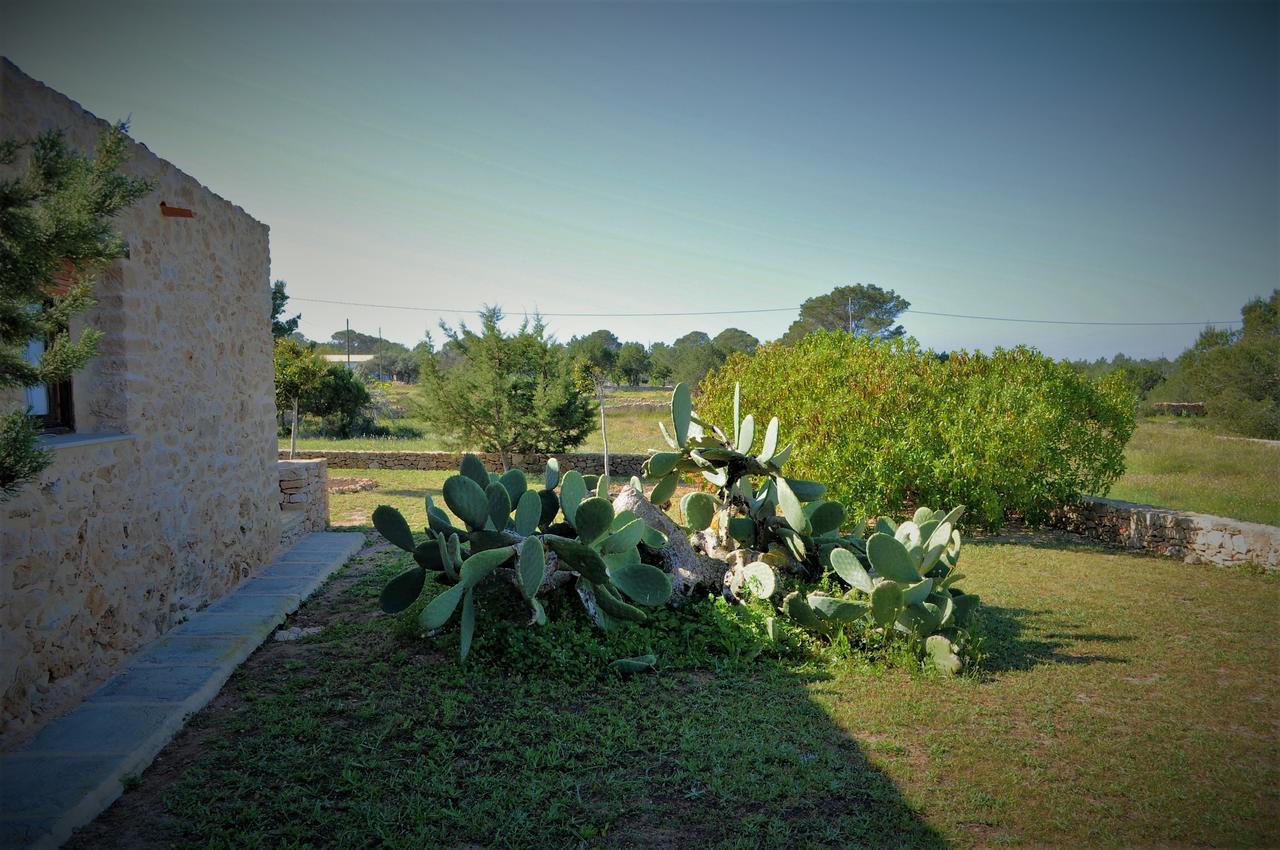 Vila Siamoformentera Bella San Francisco Javier Exteriér fotografie